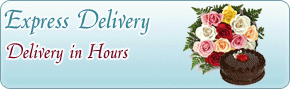 cakes-to-guntur-on-birthday-though-online-shopping